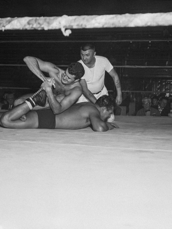 Professional Wrestling Match
